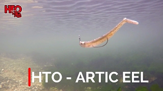 HTO  ARTIC EEL FHD [upl. by Treb]