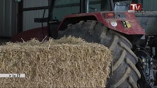 Les très petites retraites des agriculteurs [upl. by Ennaillek]