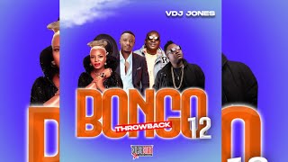 HOTTEST BONGO THROWBACK HITS  VDJ JONES MIX  Regina  Dar Mpaka Moro  Mama Ntilie  Hapo Vipi [upl. by Otilopih339]