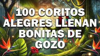 100 Coritos Alegres Llenan Bonitas De Gozo  Coros Pentecostales  Cadena De Coros Viejos [upl. by Vernier]