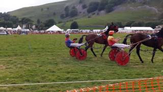 Kilnsey Show Harness Racing 16 [upl. by Keisling]