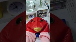 🐷The inanimate items I ordered at 2am shorts unboxing [upl. by Wendel554]