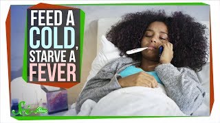 Should You Really Feed a Cold Starve a Fever [upl. by Ibor13]