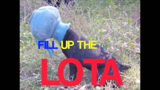 Diary of a bad man 8  Lota Official Music Video Lyrics HD 1080p [upl. by Eyr]