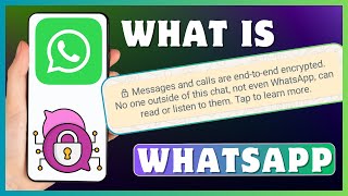 What Is quotWhatsApp Messages And Calls Are Endtoend Encryptedquot  End To End Encryption Meaning [upl. by Cirdnek]