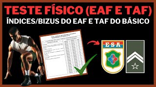 TUDO sobre o EAF e os TAFs do PERÍODO BÁSICO da ESA CFGS 202526 [upl. by Aniratac419]