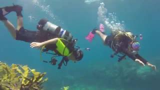 Diving with kids in Key Largo [upl. by Araj]