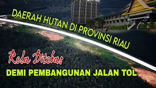 Provinsi Riau Rela ditebas Hutannya Seluas 736 Ha Demi Pembangunan Jalan Tol [upl. by Adniroc523]