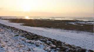 Nordsee Eisschollen im Winter [upl. by Jessamine563]