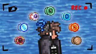 I Beat Terraria MASTER MODE Using Only YOYOS [upl. by Yasdnyl96]