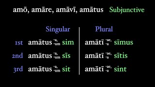 The Perfect Passive Subjunctive [upl. by Krock]