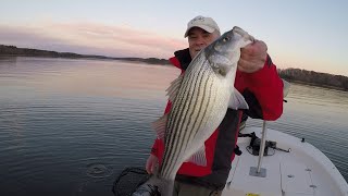 Catching Stripers in December [upl. by Tobey]