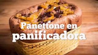 Panettone en Panificadora Panasonic [upl. by Nnaitsirk714]