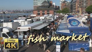 Hamburg Fischmarkt  Germany 4K Travel Channel [upl. by Cassey]