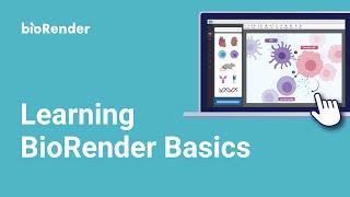 BioRender 101 Webinar [upl. by Hanas474]