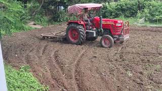 Baadi me tractor chlake mitti sab set hone ke bad sabji lagwagyen [upl. by Leissam538]