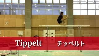 【Training progression】How many days to learn Tippelt 【Gymnastics】 [upl. by Enelyad]