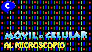 COSAS COTIDIANAS QUE TE SORPRENDERÁN CUANDO SE VEN BAJO EL MICROSCOPIO [upl. by Lolly]