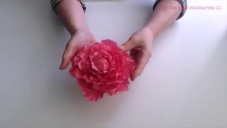 How to Make a Sugarcraft Peony Flower [upl. by Coreen55]