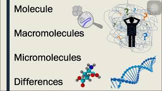 What are Macromolecules and Micro molecules [upl. by Erdua]