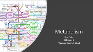 Metabolism amp Metabolic Pathways [upl. by Marcie21]