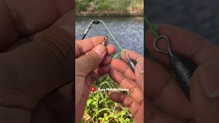 DIY RIG FISHING 2 HOOK FOR RIVER fishing fishknot knottutorial [upl. by Zoes]