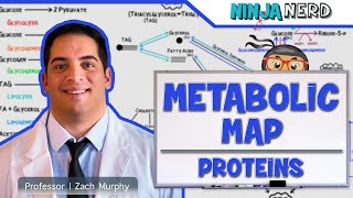 Metabolism  The Metabolic Map Proteins [upl. by Neeruam672]