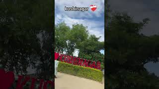 Kushinagar mini vlog kushinagarvlogs vlog minivlog shortvideo [upl. by Hill]