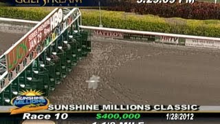 Sunshine Millions Classic [upl. by Marvin164]