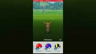 New Pokémon Deerling catch Evolution to Sawsbuck in POKÉMON GO [upl. by Oj]