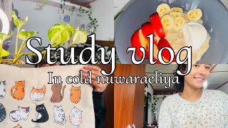 Productive 10 hours study vlog නුවරඑලියෙ ජිවිතෙන් දවසක්exam study vlog📑📚🍄studyvlog [upl. by Enelrak]