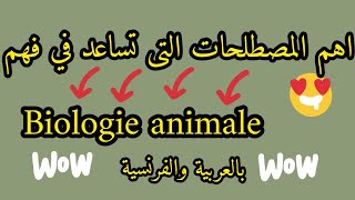 مصطلحات تساعدك في فهم بيولوجي انيمال Biologie animale L1 s2snv [upl. by Marcela]