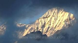 Mt Pandim and views around Kangchenjunga hidden in the mist [upl. by Eilegna]