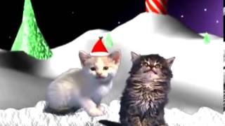 gatos cantando en navidad [upl. by Ettenoitna]