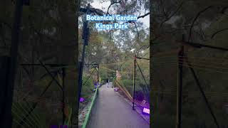 Botanical Garden kings Park Perthviralvideo nature australia [upl. by Moriarty]