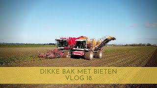 Dikke bak met bieten vlog 18 suiker bieten rooien en overladen ganzen [upl. by Efal954]