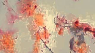 Candidiasis and Candida Albicans Video [upl. by Kitty740]