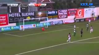 Todos los Goles de Saprissa Torneo de Verano 2014 ¡¡Campeón Nacional [upl. by Nancy]