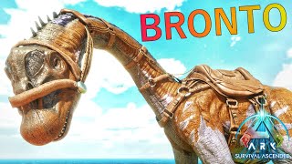 Taming Brontosaurus My New Unlimited Berry Collector 🔥🔥  ARK Survival Ascended  Part 46 [upl. by Maude143]