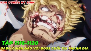 REVIEW ANIME ONE PIECE TẬP 11161120 l NGŨ LÃO TINH VÀ IMU BIẾN HÌNH I CUỘC ĐÀO TẨU CỦA SA D BO [upl. by Fulbert]