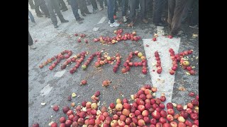 Nuk kanë treg për prodhimet korçarët bllokojnë rrugën me mollë [upl. by Otsugua]