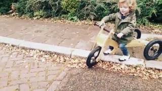 Trybike  loopfiets voor kinderen vanaf 1 jaar [upl. by Annasiul]