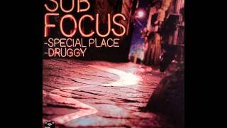 Sub Focus  Special Place [upl. by Decato]