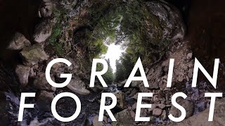 GRAIN FOREST Ambient iPad Outdoor Jam feat Tardigrain [upl. by Imotas236]