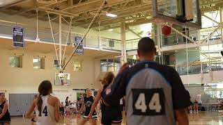 Rachael Palmer highlights from Grass Lake summer ball amp Mystics basketball [upl. by Eleonora]