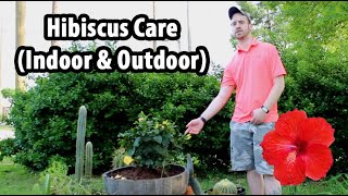 How to Care for a Hibiscus Indoor amp Outdoor [upl. by Simson220]