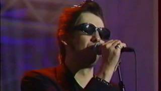 shane mcgowan and the popes  that womans got me drinking  live  1995 [upl. by Auqinom593]