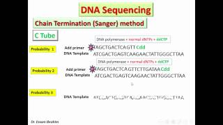 Chain Termination Sanger method Arabic Dr Essam Ibrahim [upl. by Naira835]