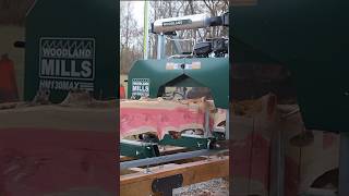 Milling PINK Lumber sawmill [upl. by Nye473]