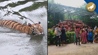 Hyderabads Nehru Zoological Park reopen for visitors [upl. by Byram]